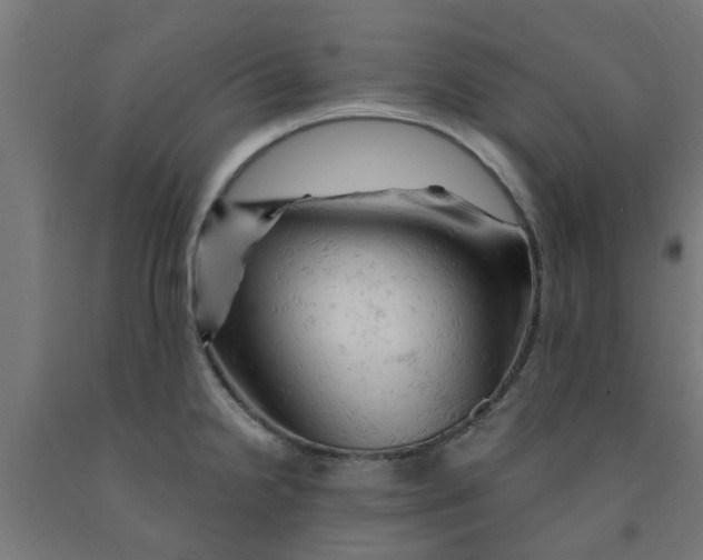 X0000090891238200708241955