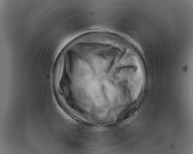 X0000090891239200708241955