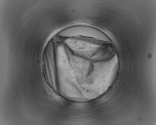 X0000090891240200708241955