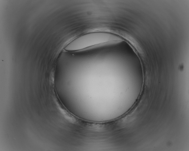 X0000090891241200708241955