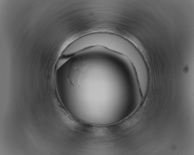 X0000090891242200708241955