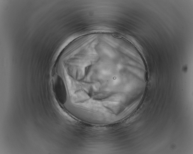 X0000090891243200708241955