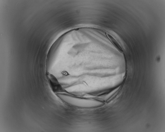 X0000090891244200708241955