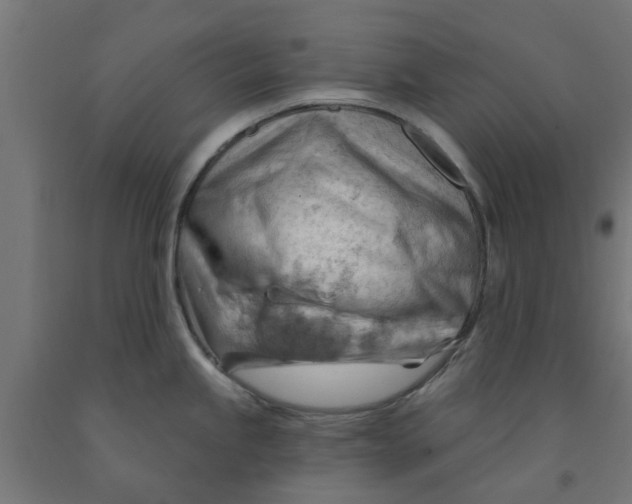 X0000090891245200708241955