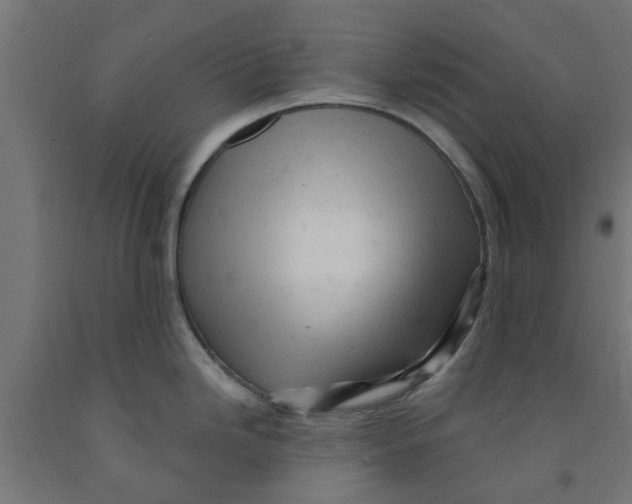 X0000090891246200708241955