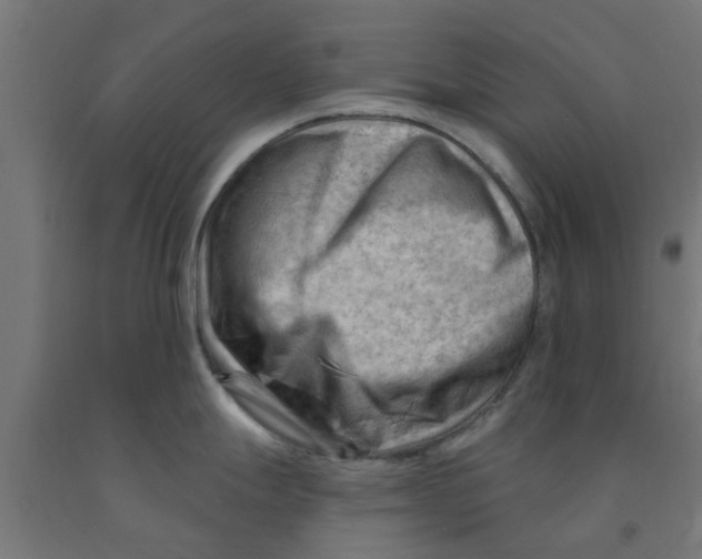 X0000090891247200708241955