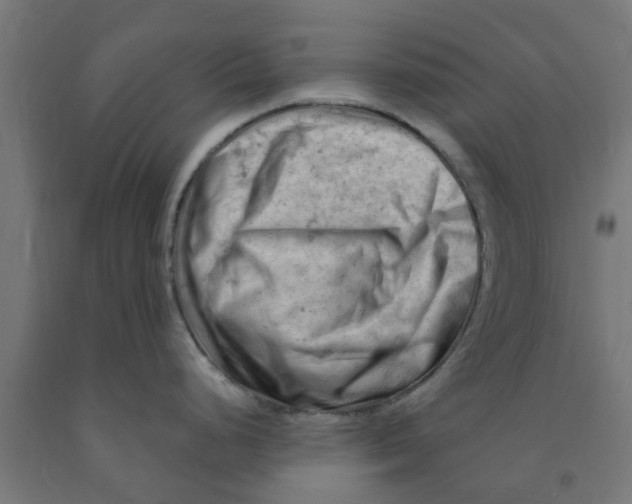 X0000090891248200708241955