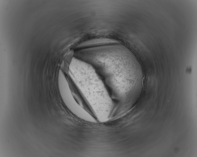 X0000090891250200708241954