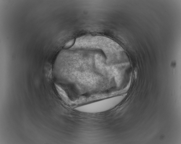 X0000090891251200708241954