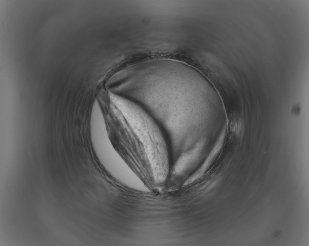 X0000090891252200708241954