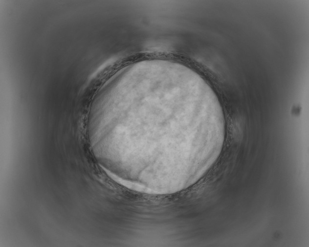 X0000090891254200708241954