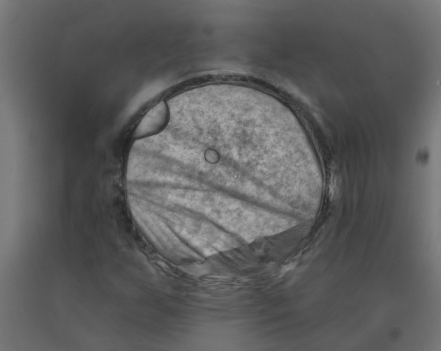 X0000090891255200708241954