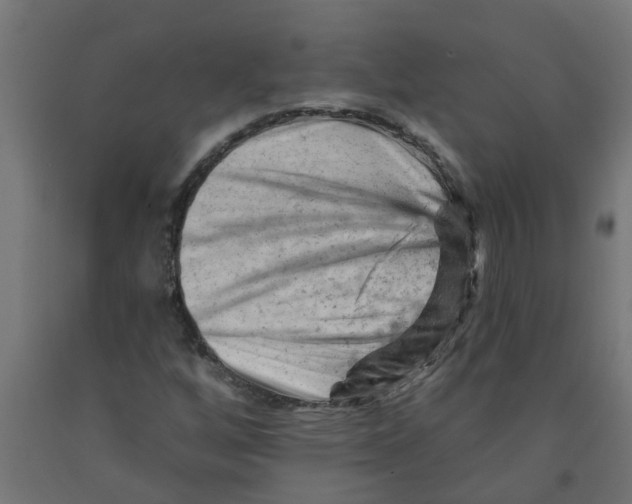 X0000090891256200708241954