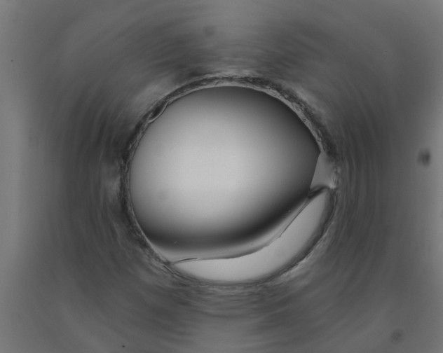 X0000090891257200708241954