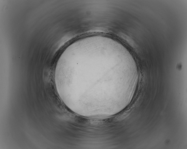 X0000090891258200708241954