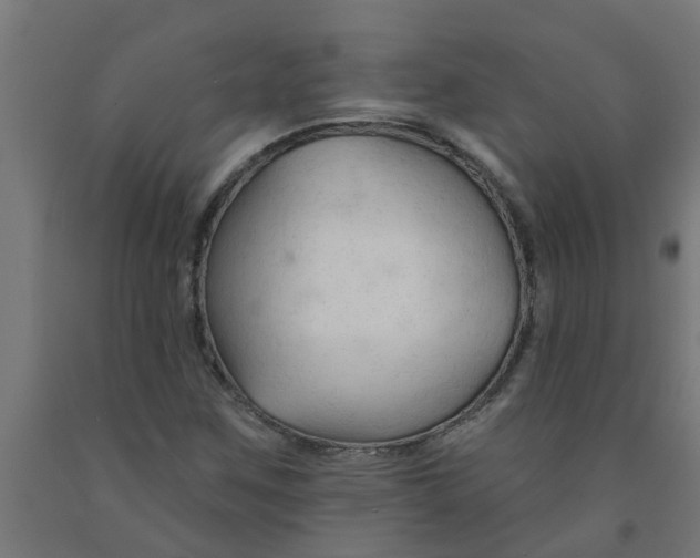 X0000090891259200708241954