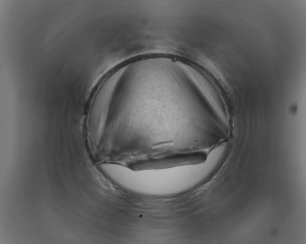 X0000090891260200708241954