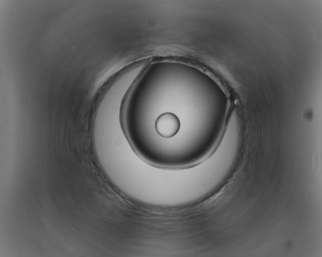 X0000090891261200708241954