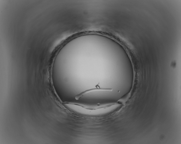 X0000090891262200708241954