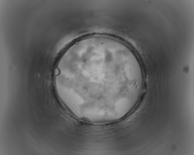 X0000090891263200708241954