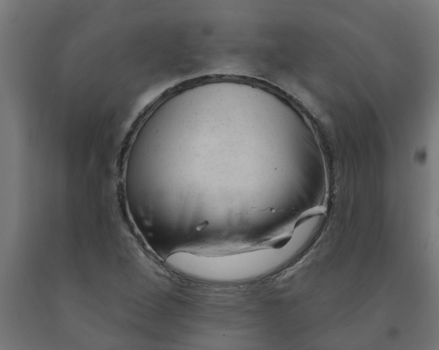 X0000090891264200708241954