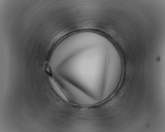 X0000090891265200708241954