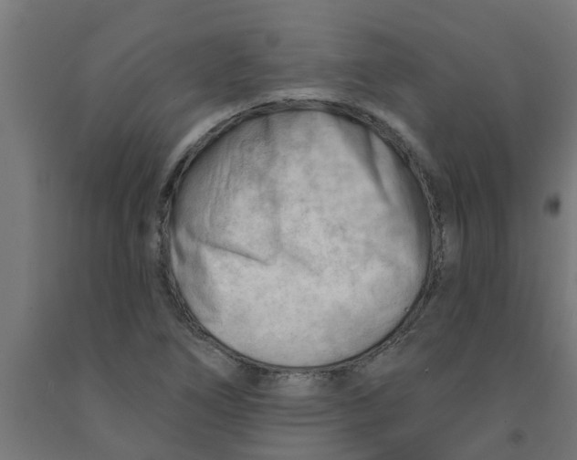 X0000090891266200708241954