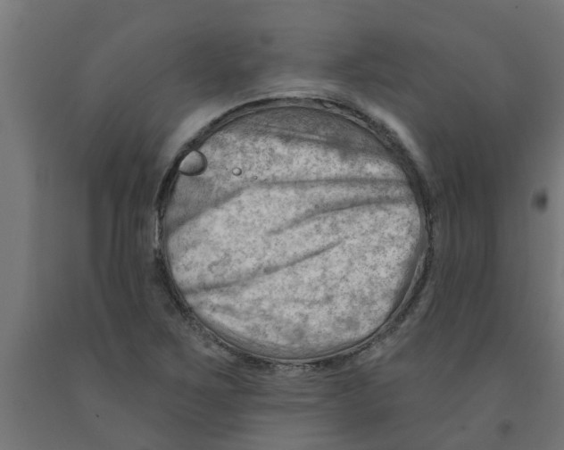 X0000090891267200708241954