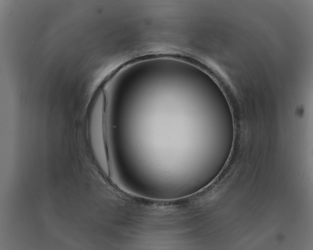 X0000090891269200708241954