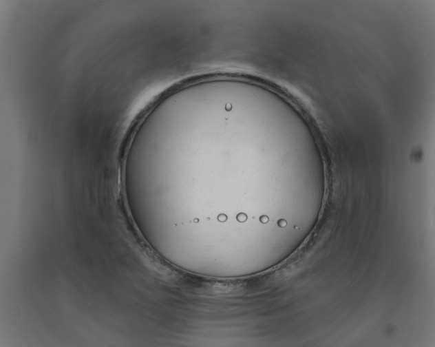 X0000090891271200708241954