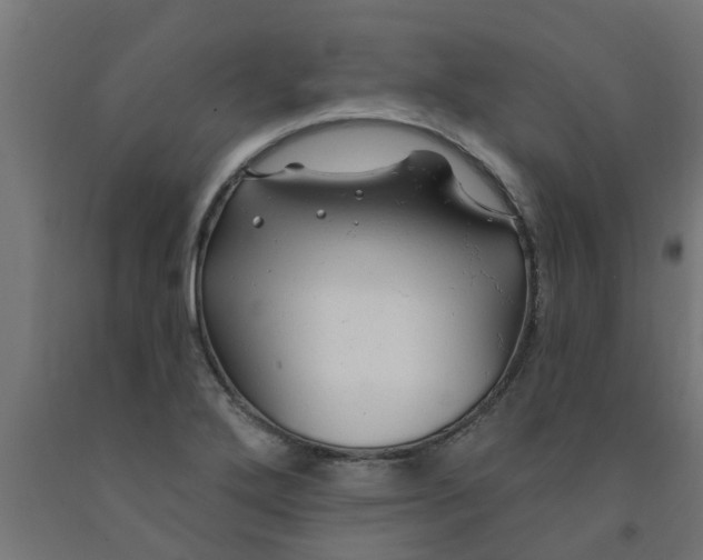 X0000090891272200708241954