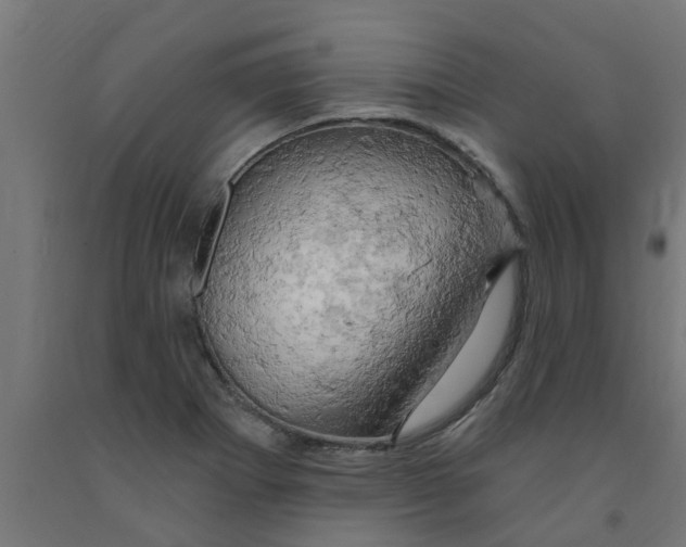 X0000090891273200708241954