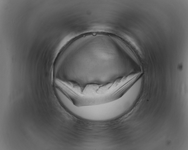 X0000090891275200708241954