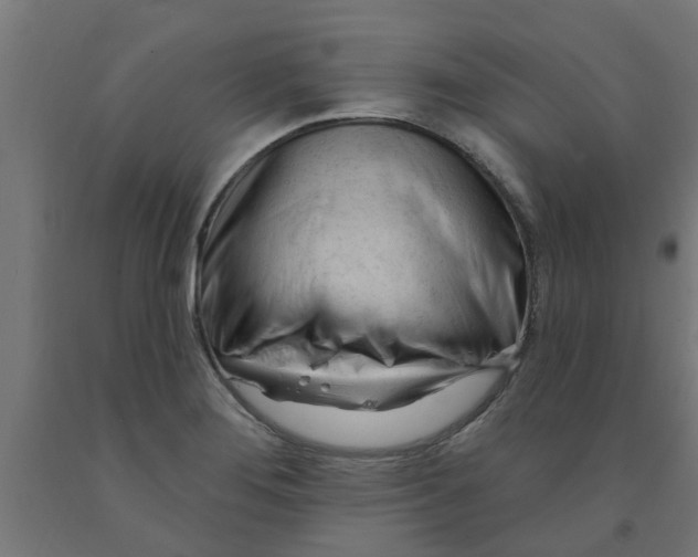 X0000090891276200708241954