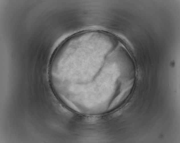 X0000090891278200708241954