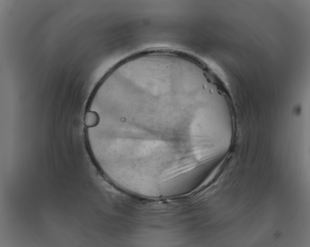 X0000090891279200708241954