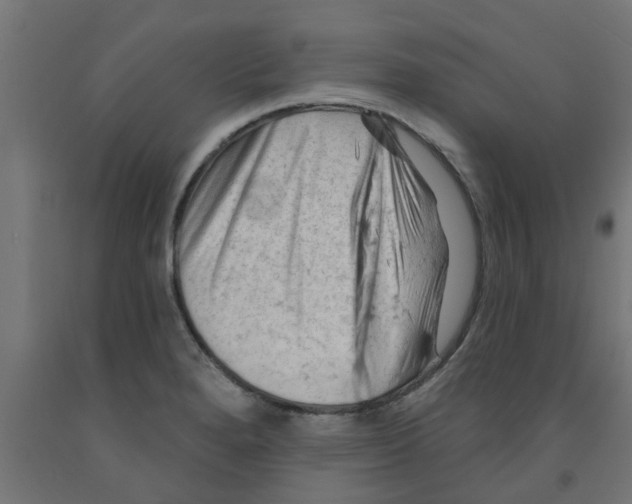 X0000090891280200708241954