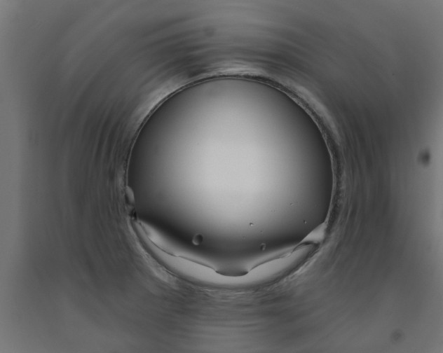 X0000090891281200708241954