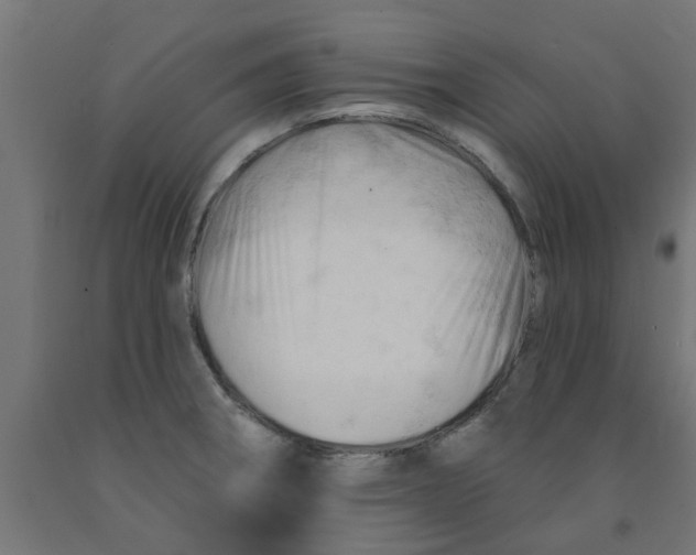 X0000090891282200708241954