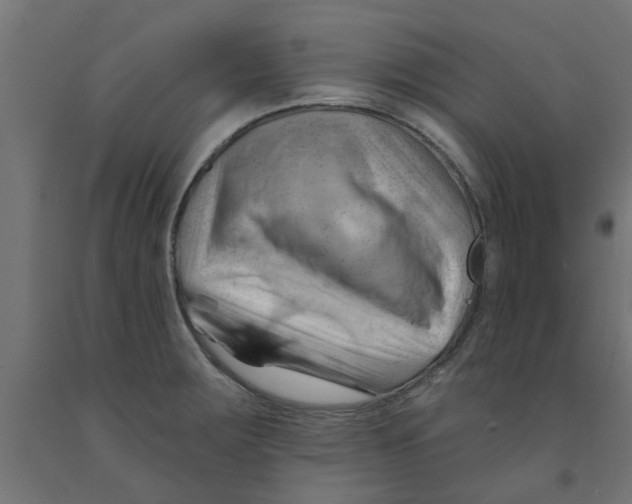 X0000090891283200708241954