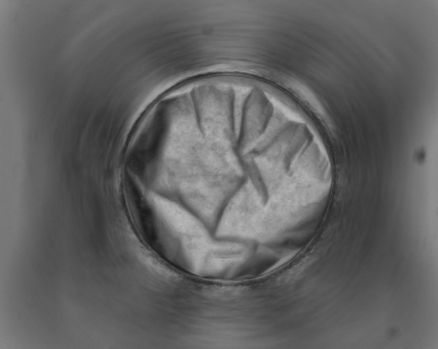 X0000090891284200708241954