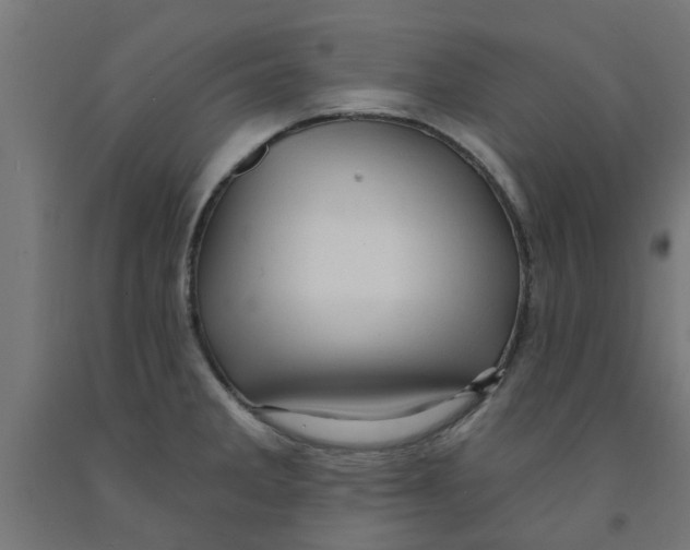 X0000090891285200708241954