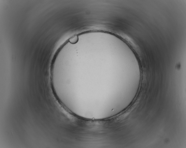 X0000090891286200708241954