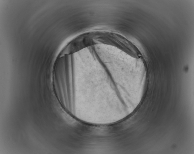 X0000090891288200708241954