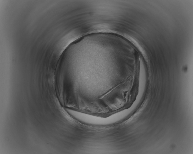 X0000090891289200708241954