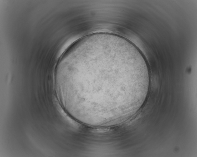 X0000090891290200708241954