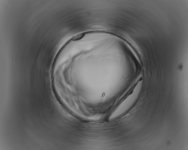 X0000090891291200708241954