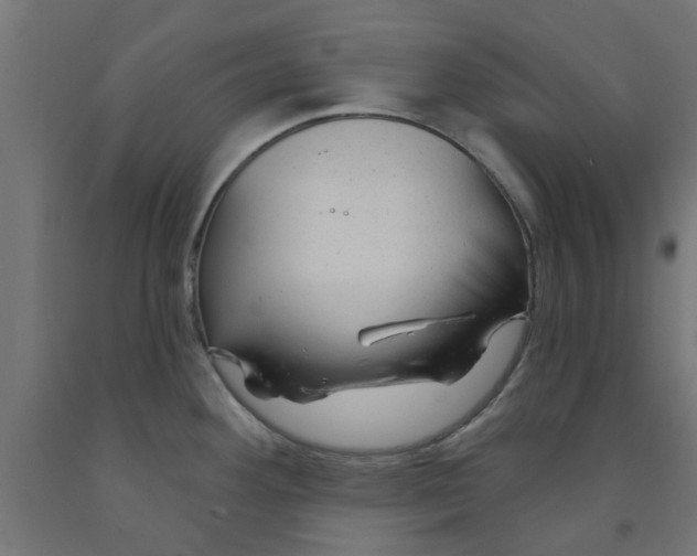 X0000090891292200708241954