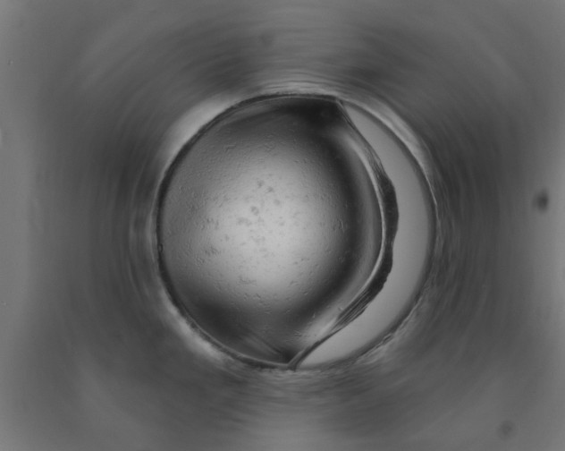 X0000090891293200708241954