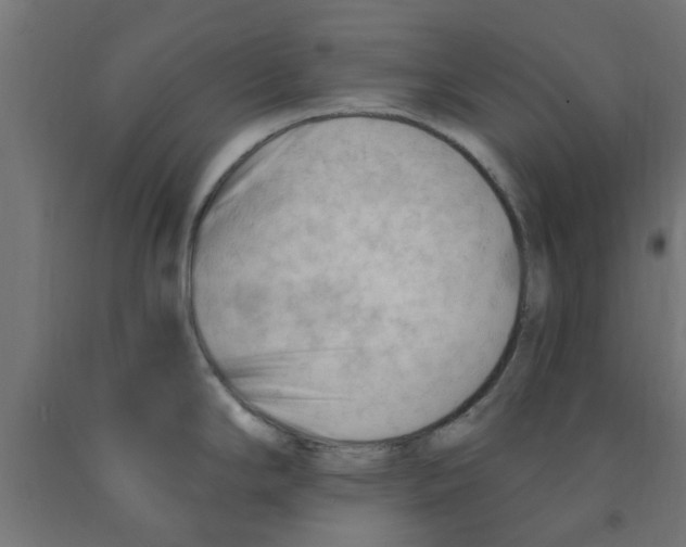 X0000090891294200708241953